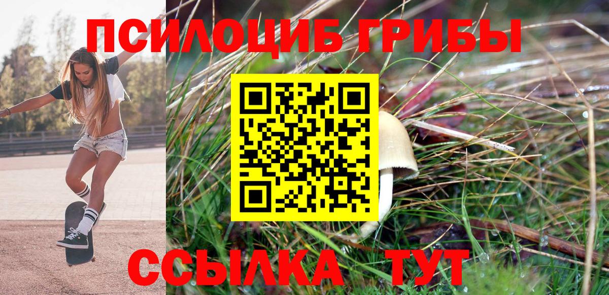 Галлюциногенные грибы Cubensis Губкин