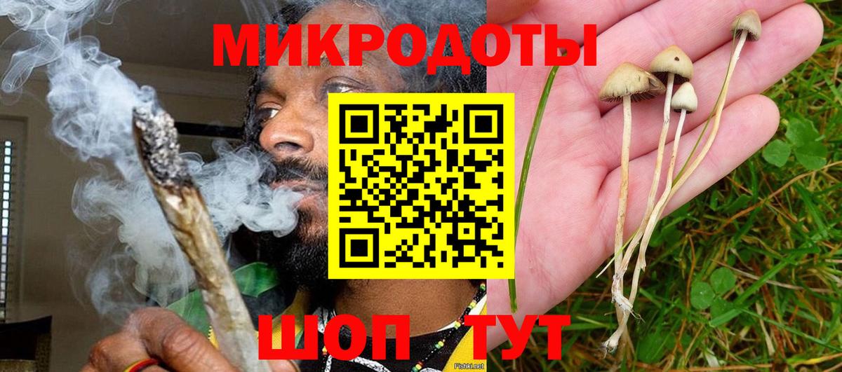 Псилоцибиновые грибы GOLDEN TEACHER  Псилоцибиновые грибы Psilocybine cubensis  Губкин  Вход с VPN 